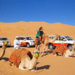 Camel ride during a desert safari in Dubai