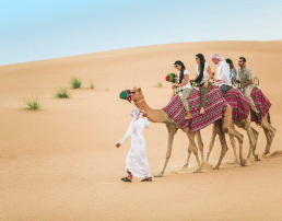 Dubai evening safari,Camel trek, desert sands